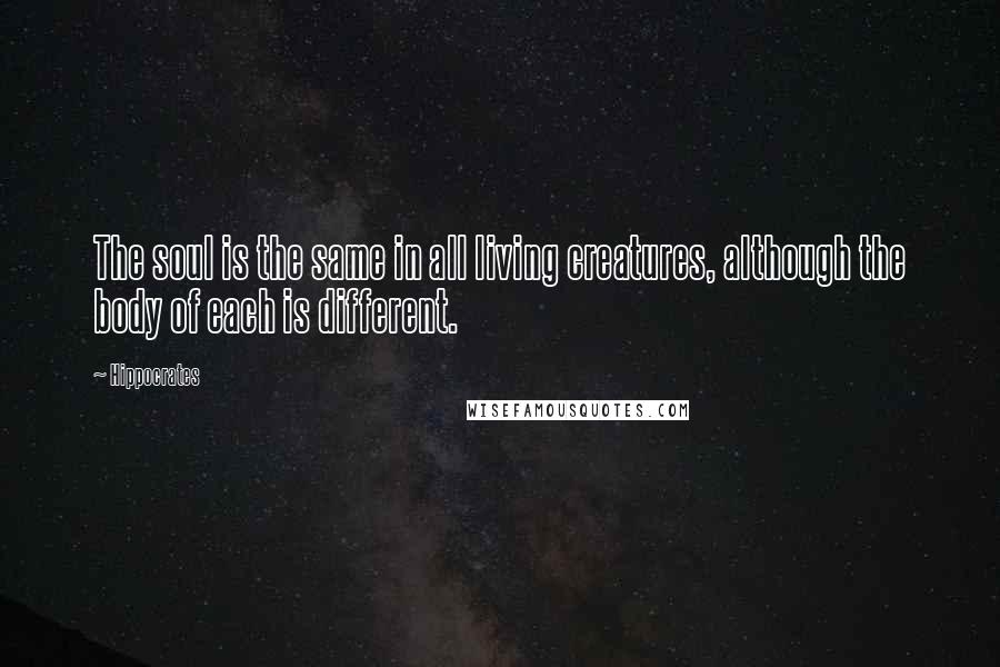 Hippocrates Quotes: The soul is the same in all living creatures, although the body of each is different.