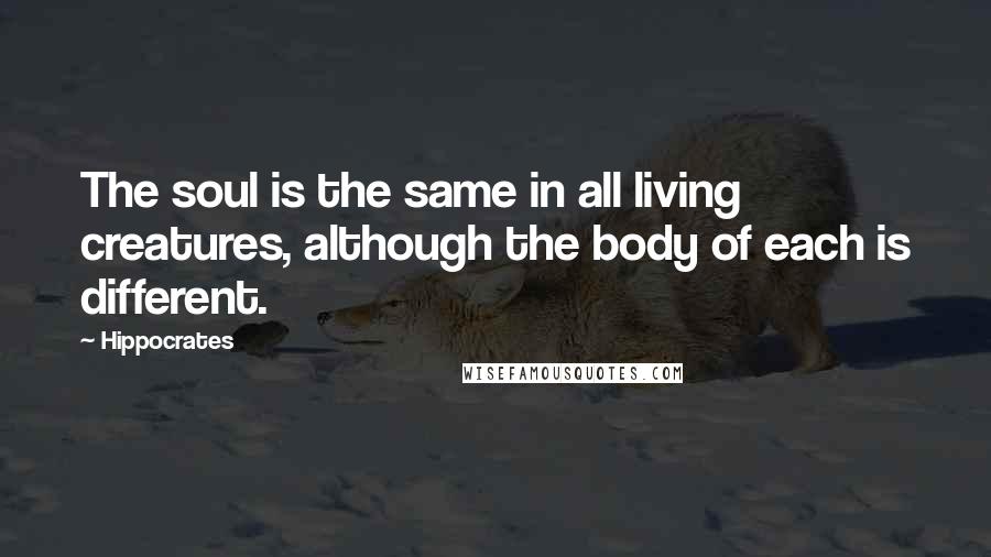 Hippocrates Quotes: The soul is the same in all living creatures, although the body of each is different.