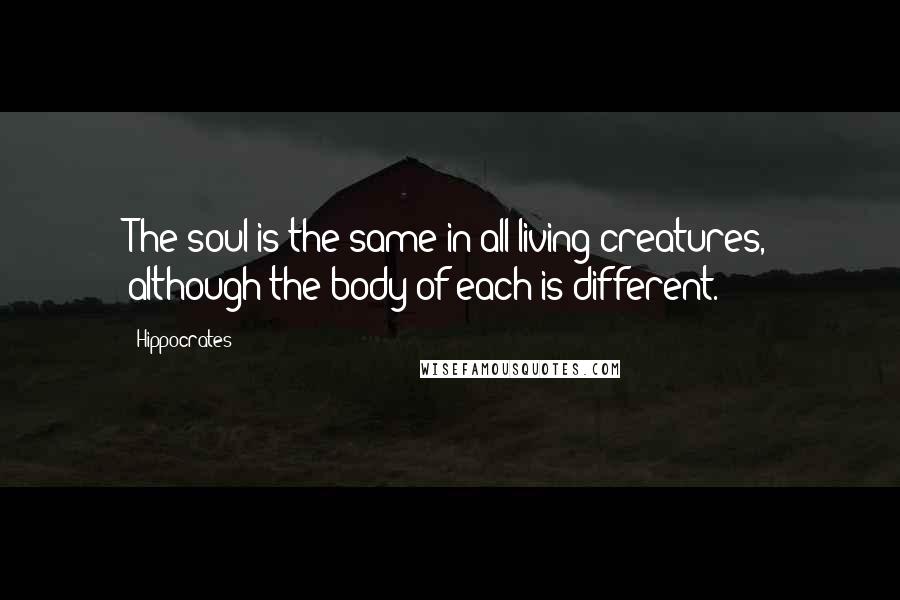 Hippocrates Quotes: The soul is the same in all living creatures, although the body of each is different.