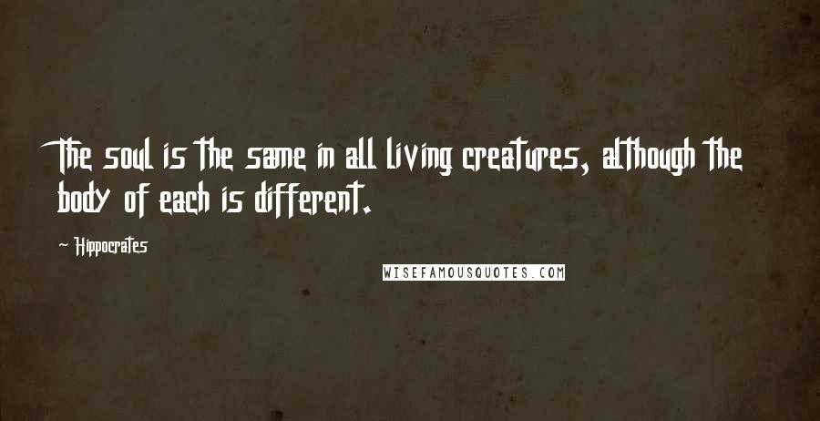 Hippocrates Quotes: The soul is the same in all living creatures, although the body of each is different.