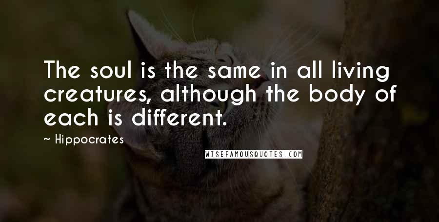 Hippocrates Quotes: The soul is the same in all living creatures, although the body of each is different.