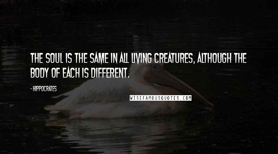 Hippocrates Quotes: The soul is the same in all living creatures, although the body of each is different.