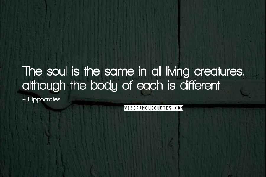 Hippocrates Quotes: The soul is the same in all living creatures, although the body of each is different.