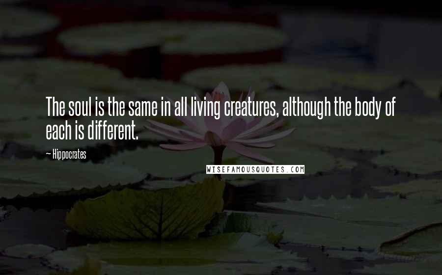 Hippocrates Quotes: The soul is the same in all living creatures, although the body of each is different.