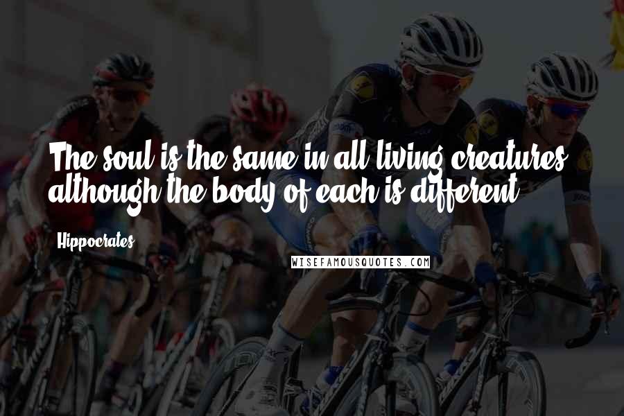 Hippocrates Quotes: The soul is the same in all living creatures, although the body of each is different.