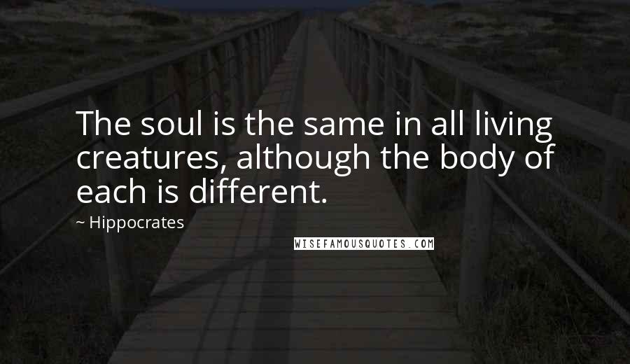 Hippocrates Quotes: The soul is the same in all living creatures, although the body of each is different.