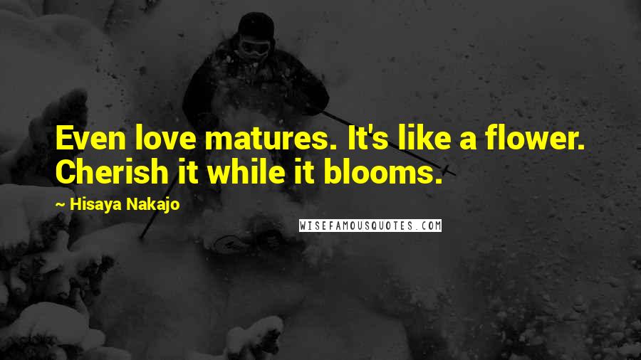 Hisaya Nakajo Quotes: Even love matures. It's like a flower. Cherish it while it blooms.