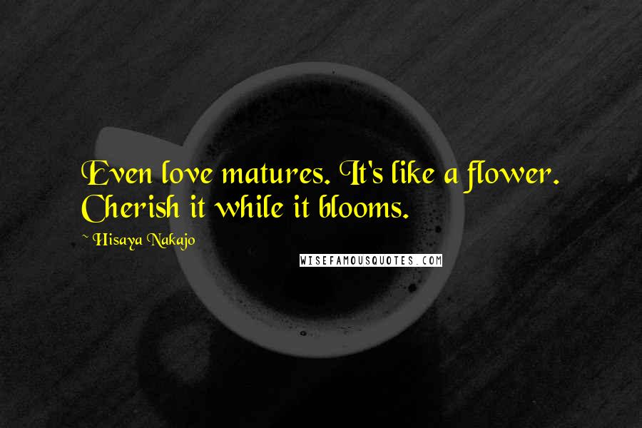 Hisaya Nakajo Quotes: Even love matures. It's like a flower. Cherish it while it blooms.