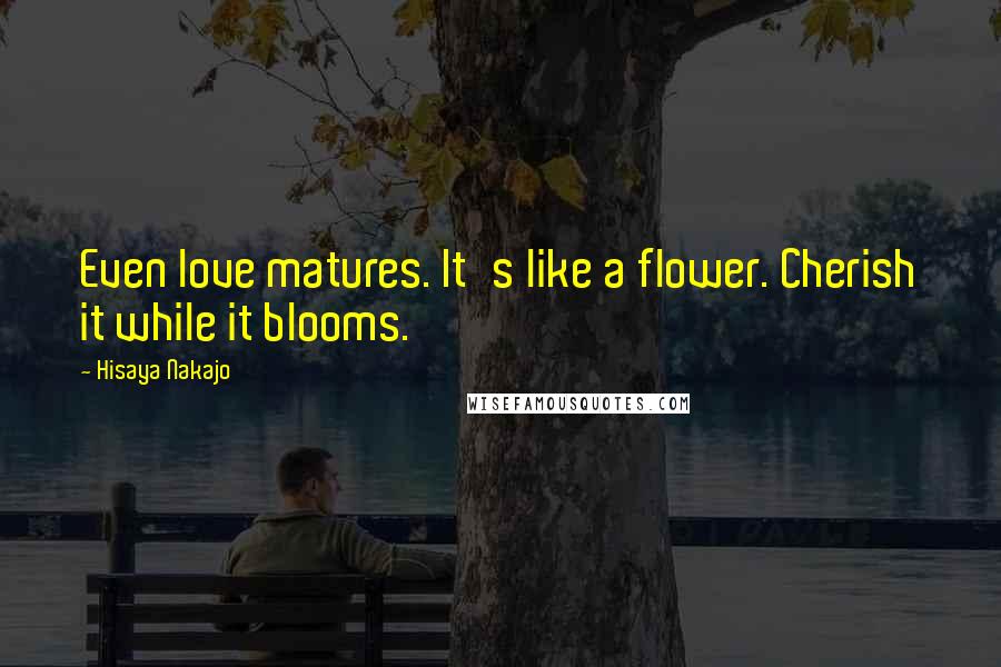 Hisaya Nakajo Quotes: Even love matures. It's like a flower. Cherish it while it blooms.