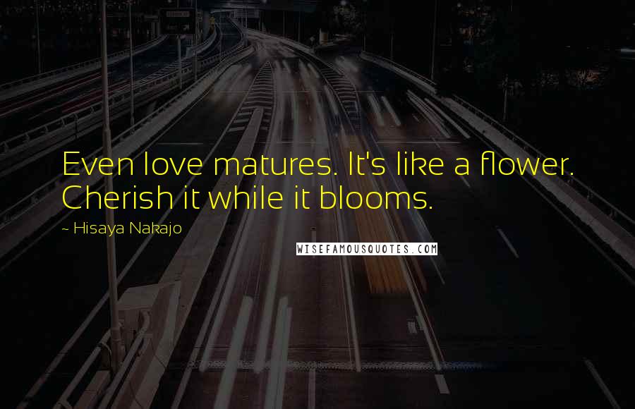 Hisaya Nakajo Quotes: Even love matures. It's like a flower. Cherish it while it blooms.