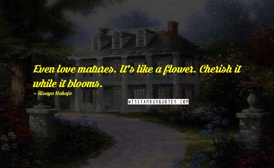 Hisaya Nakajo Quotes: Even love matures. It's like a flower. Cherish it while it blooms.