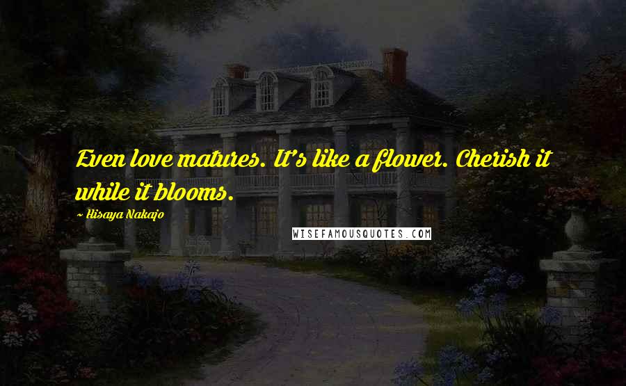 Hisaya Nakajo Quotes: Even love matures. It's like a flower. Cherish it while it blooms.