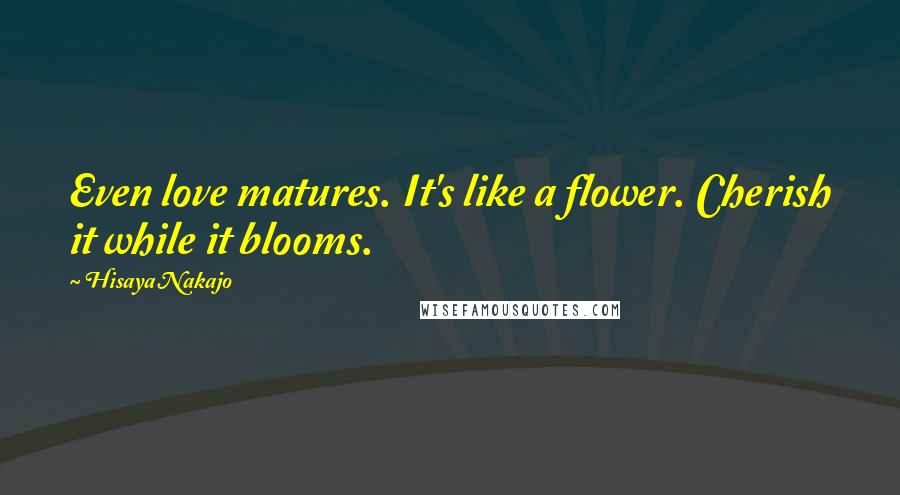 Hisaya Nakajo Quotes: Even love matures. It's like a flower. Cherish it while it blooms.