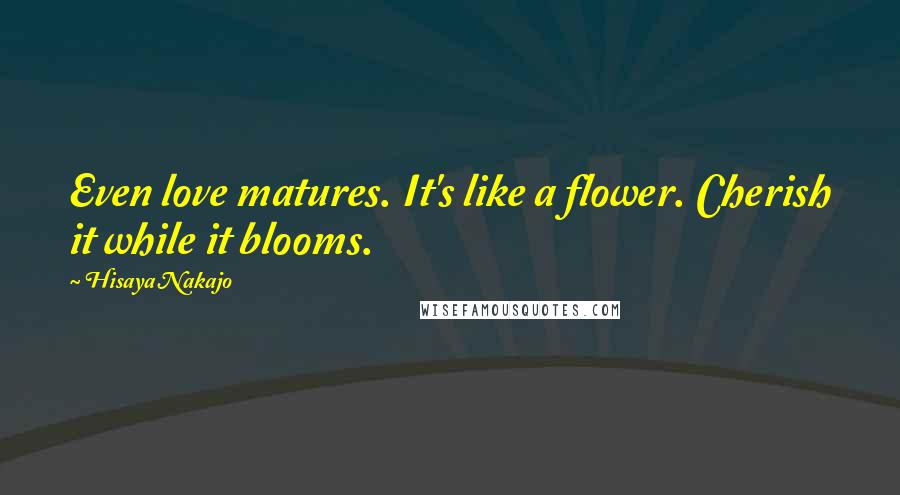Hisaya Nakajo Quotes: Even love matures. It's like a flower. Cherish it while it blooms.