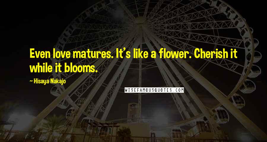 Hisaya Nakajo Quotes: Even love matures. It's like a flower. Cherish it while it blooms.