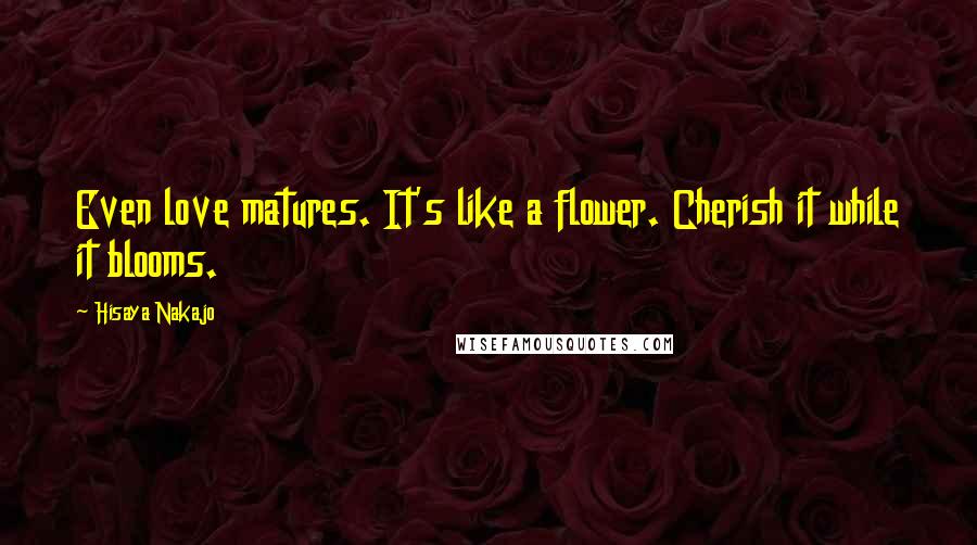 Hisaya Nakajo Quotes: Even love matures. It's like a flower. Cherish it while it blooms.