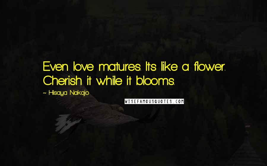 Hisaya Nakajo Quotes: Even love matures. It's like a flower. Cherish it while it blooms.