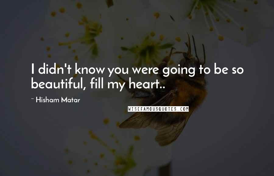 Hisham Matar Quotes: I didn't know you were going to be so beautiful, fill my heart..