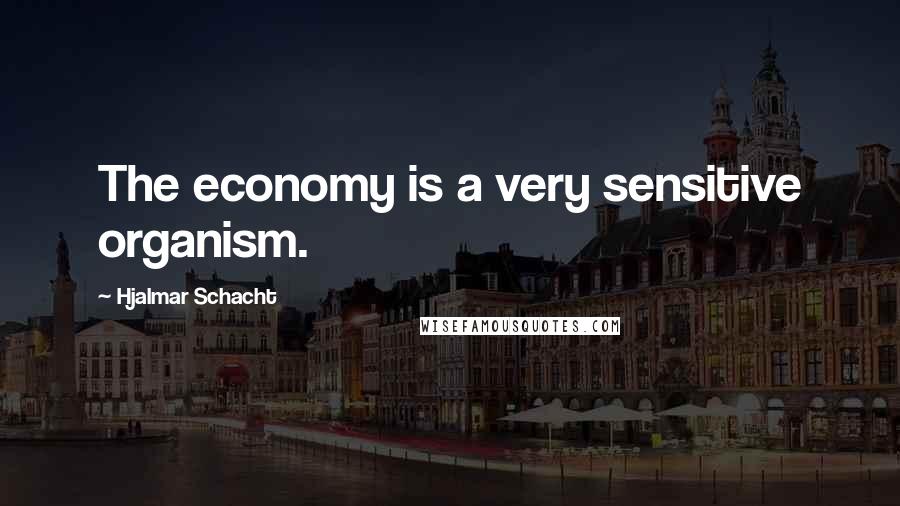 Hjalmar Schacht Quotes: The economy is a very sensitive organism.