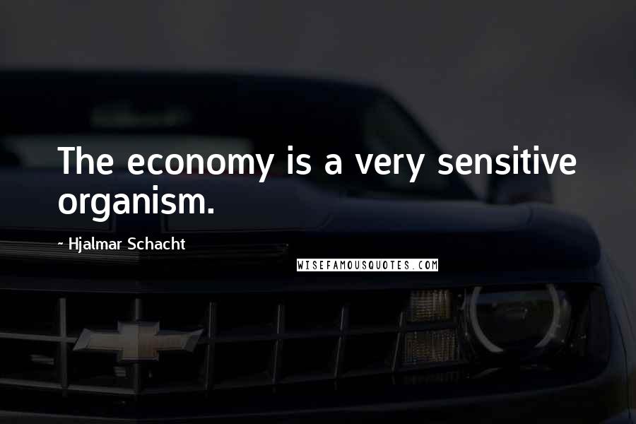 Hjalmar Schacht Quotes: The economy is a very sensitive organism.