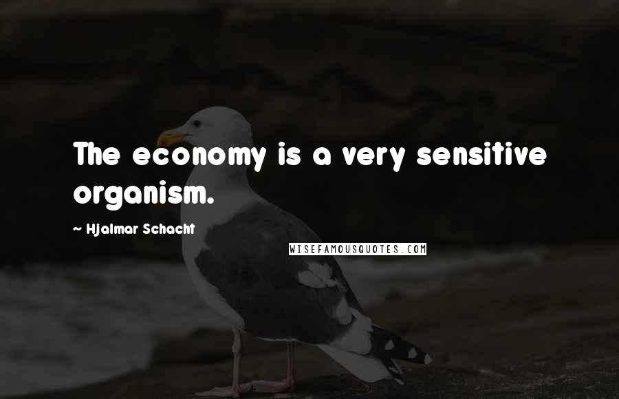 Hjalmar Schacht Quotes: The economy is a very sensitive organism.