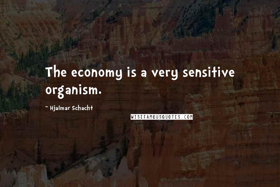 Hjalmar Schacht Quotes: The economy is a very sensitive organism.