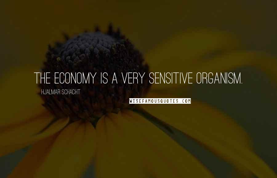 Hjalmar Schacht Quotes: The economy is a very sensitive organism.