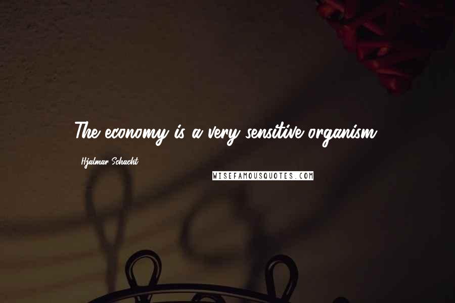 Hjalmar Schacht Quotes: The economy is a very sensitive organism.