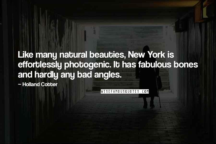 Holland Cotter Quotes: Like many natural beauties, New York is effortlessly photogenic. It has fabulous bones and hardly any bad angles.