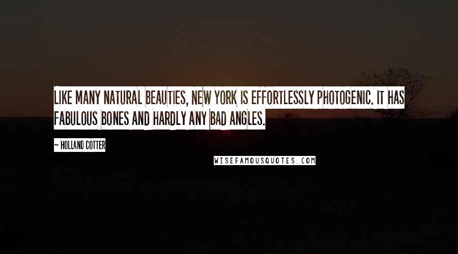 Holland Cotter Quotes: Like many natural beauties, New York is effortlessly photogenic. It has fabulous bones and hardly any bad angles.