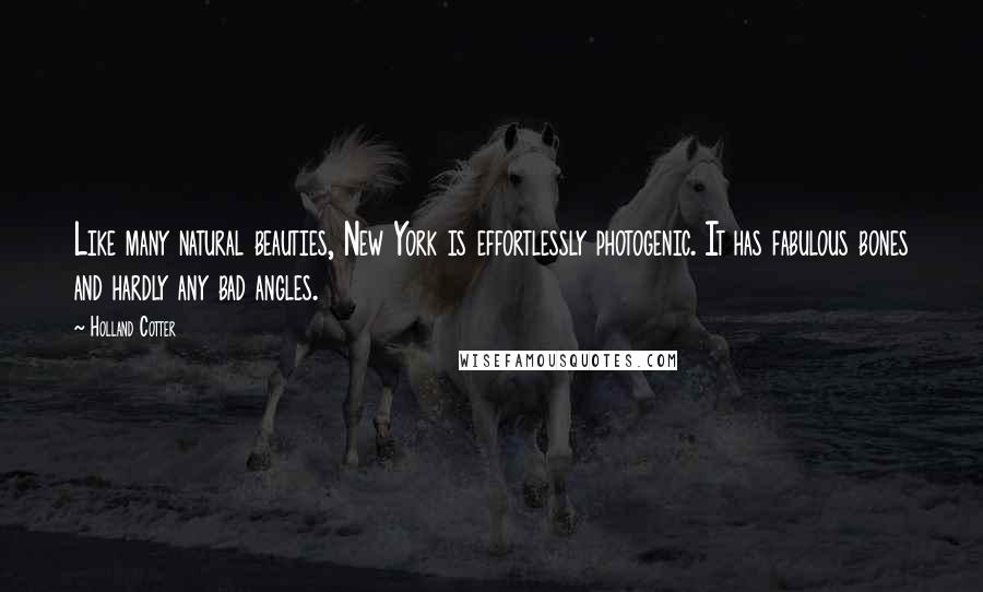 Holland Cotter Quotes: Like many natural beauties, New York is effortlessly photogenic. It has fabulous bones and hardly any bad angles.