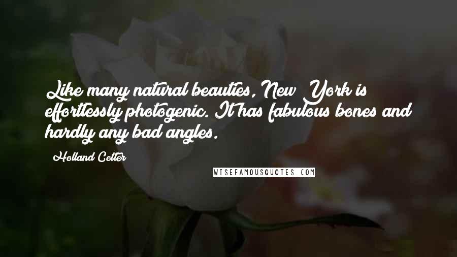 Holland Cotter Quotes: Like many natural beauties, New York is effortlessly photogenic. It has fabulous bones and hardly any bad angles.