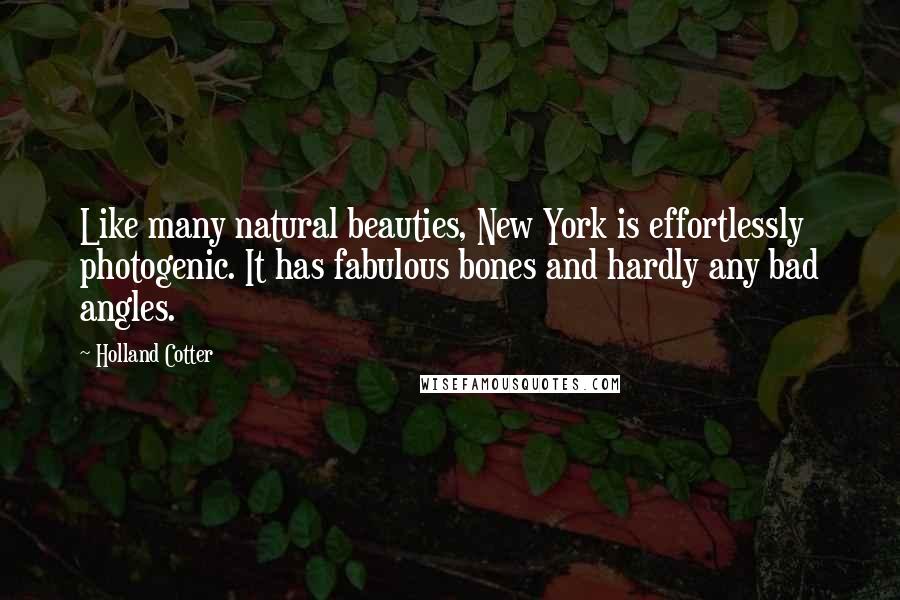 Holland Cotter Quotes: Like many natural beauties, New York is effortlessly photogenic. It has fabulous bones and hardly any bad angles.