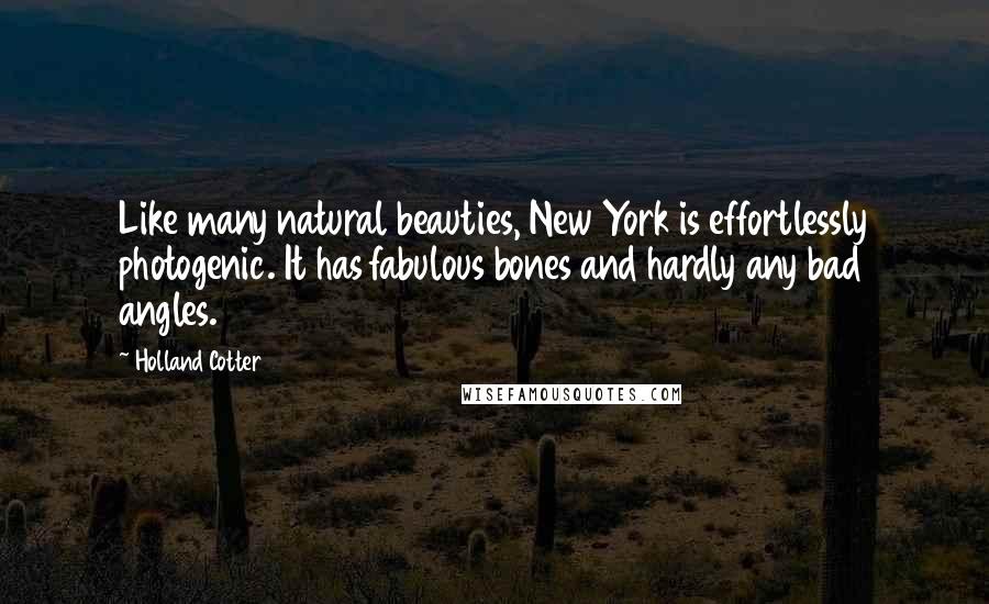 Holland Cotter Quotes: Like many natural beauties, New York is effortlessly photogenic. It has fabulous bones and hardly any bad angles.