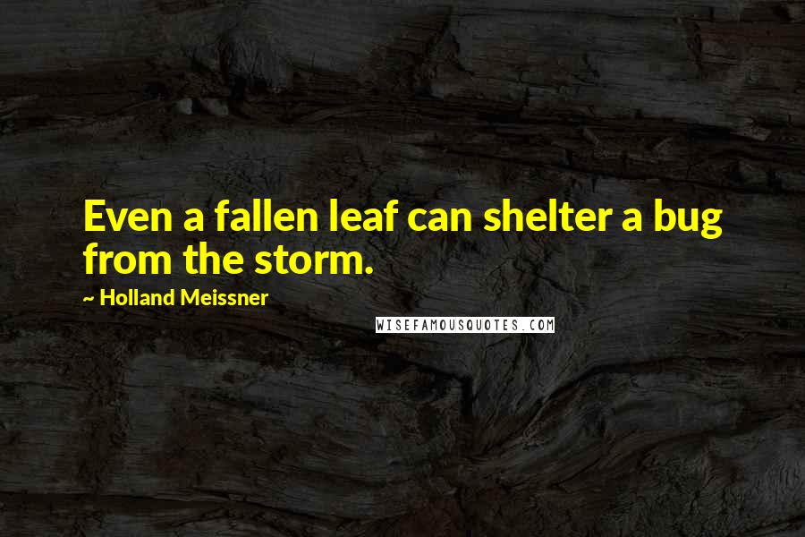 Holland Meissner Quotes: Even a fallen leaf can shelter a bug from the storm.