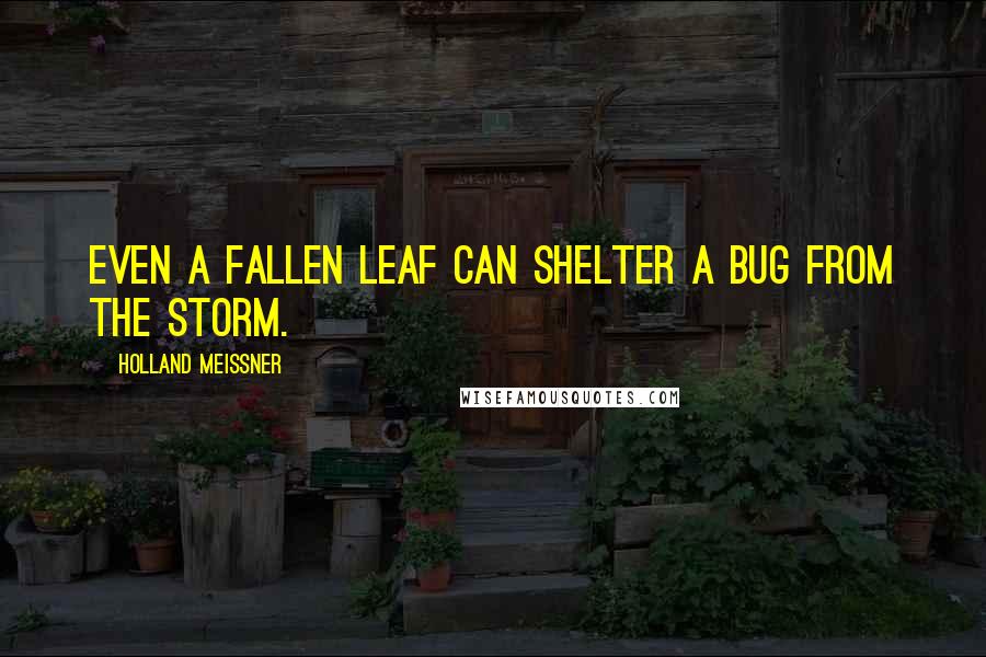 Holland Meissner Quotes: Even a fallen leaf can shelter a bug from the storm.