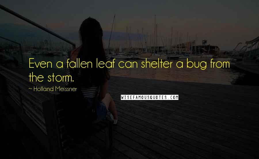 Holland Meissner Quotes: Even a fallen leaf can shelter a bug from the storm.