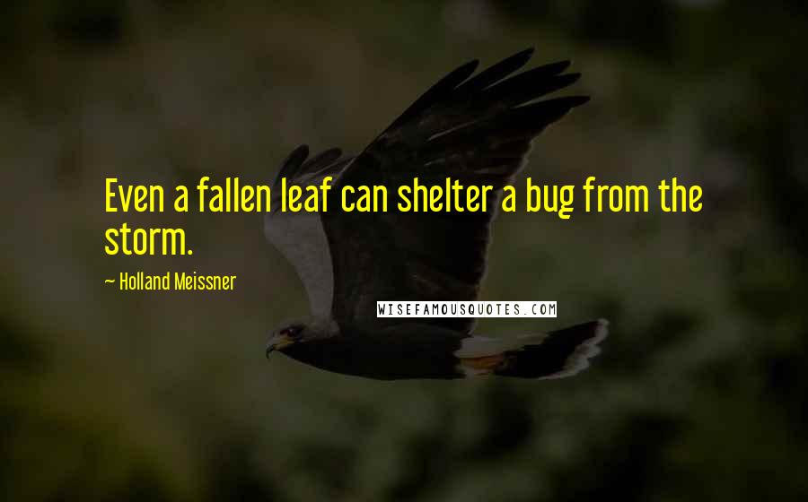 Holland Meissner Quotes: Even a fallen leaf can shelter a bug from the storm.