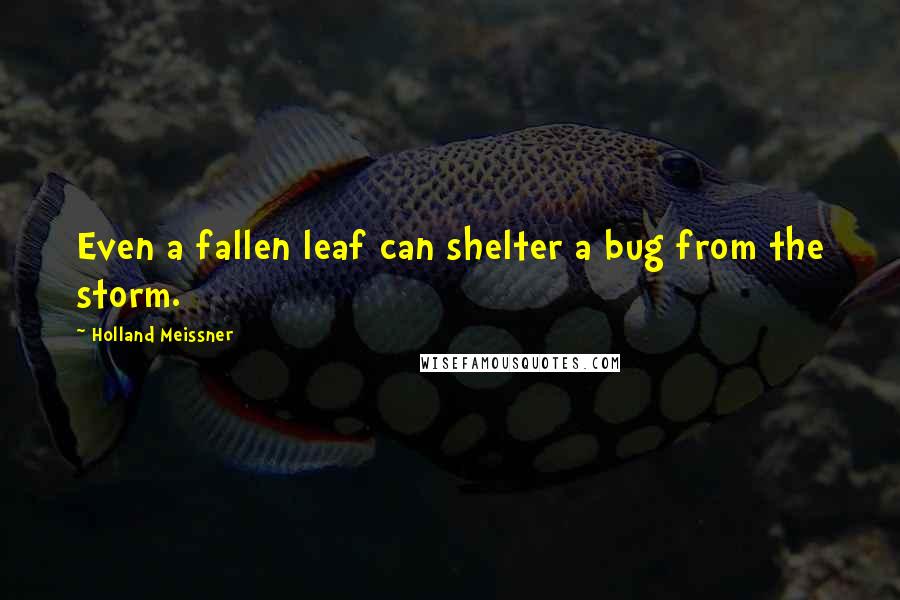 Holland Meissner Quotes: Even a fallen leaf can shelter a bug from the storm.