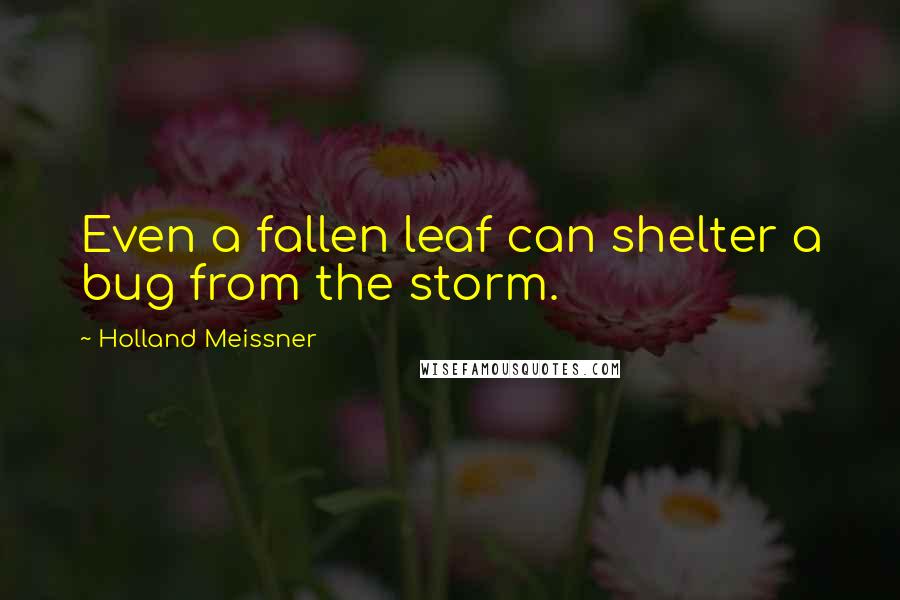 Holland Meissner Quotes: Even a fallen leaf can shelter a bug from the storm.