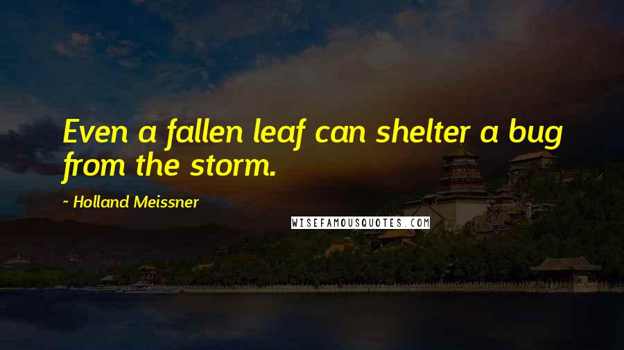 Holland Meissner Quotes: Even a fallen leaf can shelter a bug from the storm.