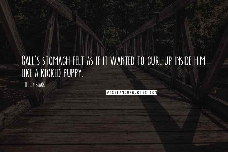 Holly Black Quotes: Call's stomach felt as if it wanted to curl up inside him like a kicked puppy.