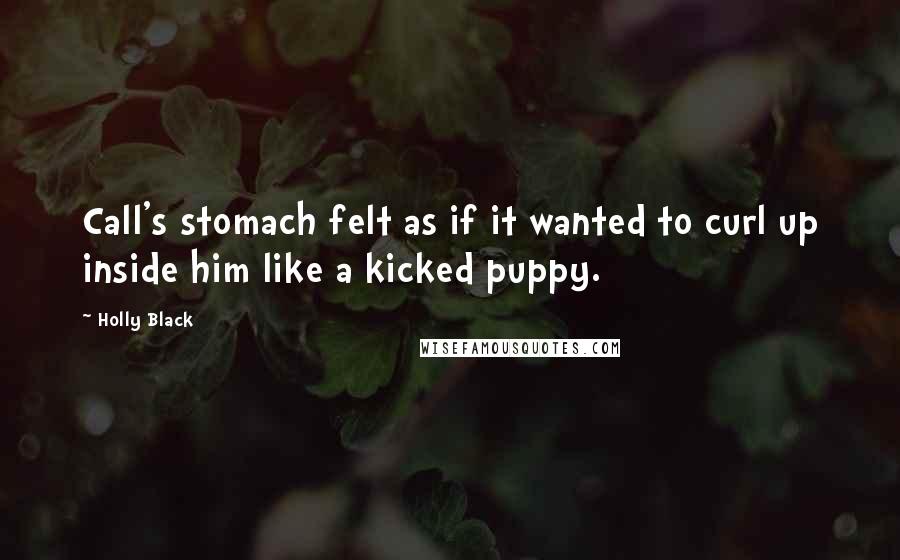 Holly Black Quotes: Call's stomach felt as if it wanted to curl up inside him like a kicked puppy.