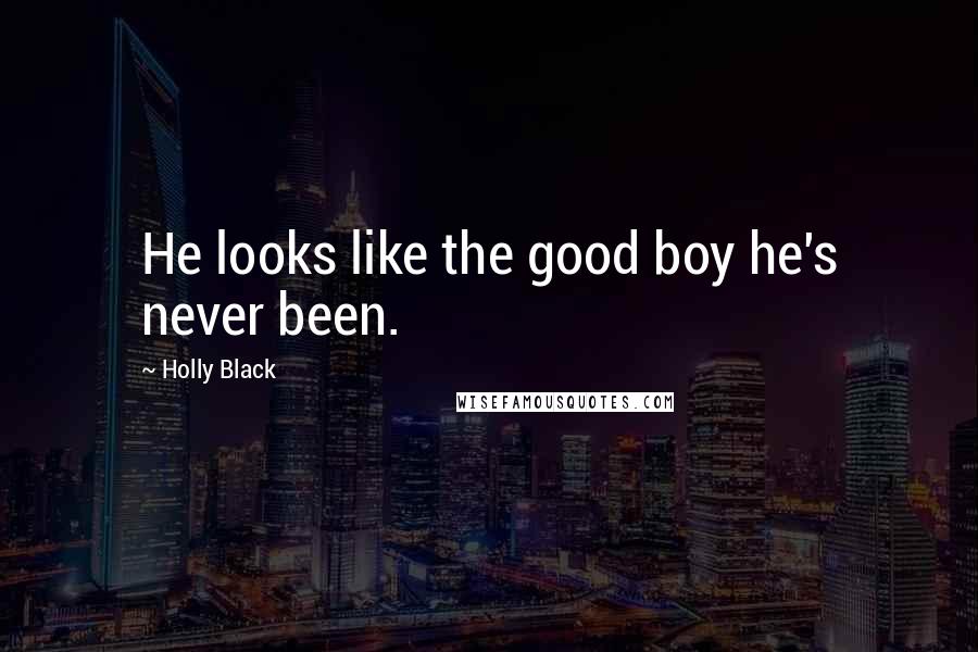 Holly Black Quotes: He looks like the good boy he's never been.