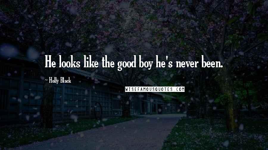 Holly Black Quotes: He looks like the good boy he's never been.