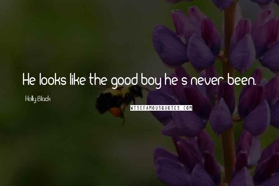 Holly Black Quotes: He looks like the good boy he's never been.