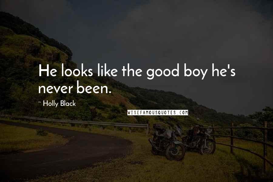 Holly Black Quotes: He looks like the good boy he's never been.