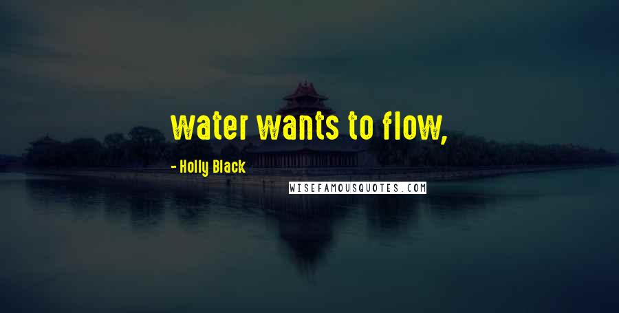 Holly Black Quotes: water wants to flow,