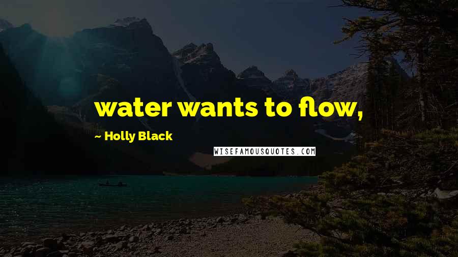 Holly Black Quotes: water wants to flow,