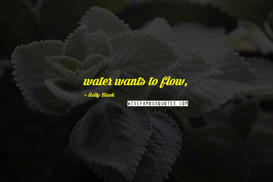 Holly Black Quotes: water wants to flow,